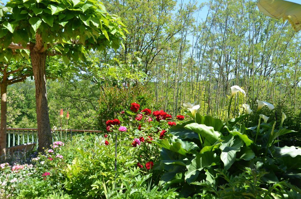 La Gueriniere Bed & Breakfast Cénac-et-Saint-Julien Exterior photo