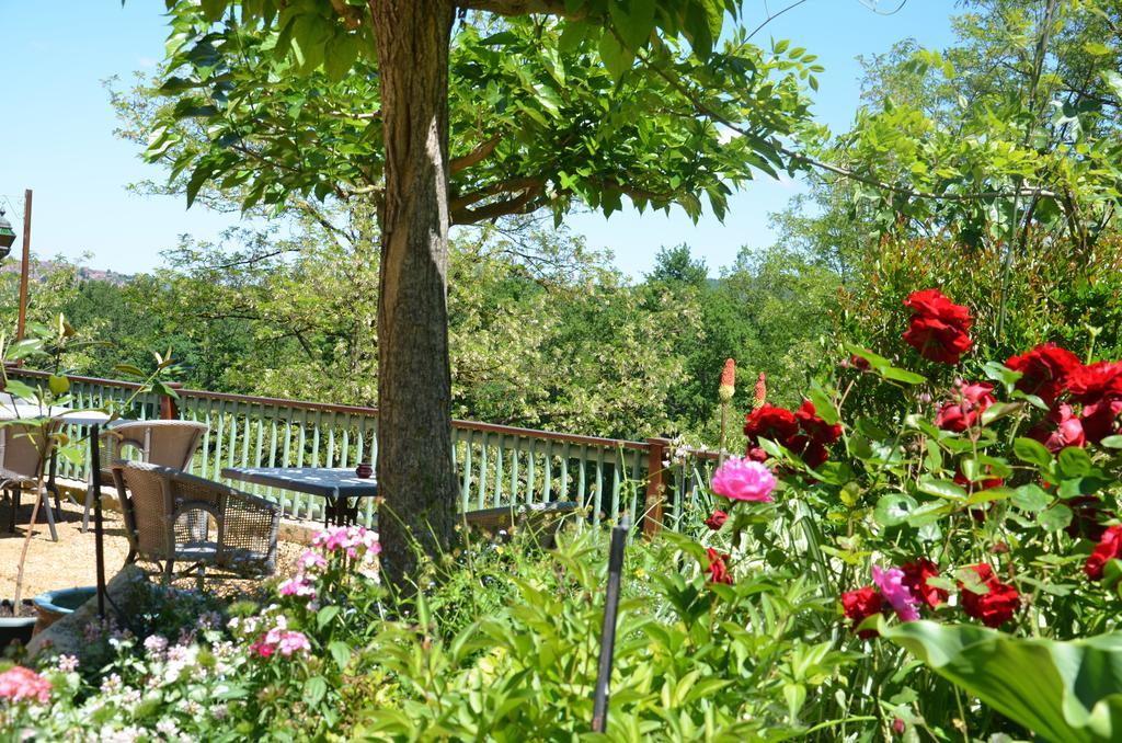 La Gueriniere Bed & Breakfast Cénac-et-Saint-Julien Exterior photo