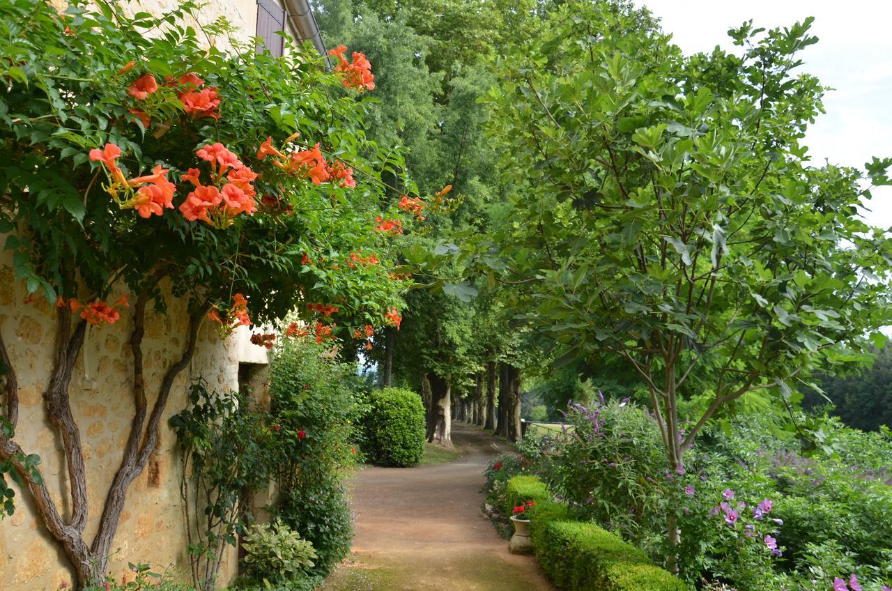 La Gueriniere Bed & Breakfast Cénac-et-Saint-Julien Exterior photo